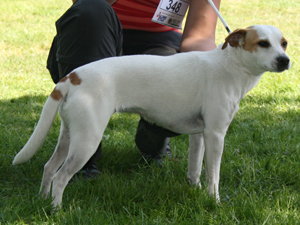 Fotograferet p� udstilling i H�ssleholm, Maj 2008